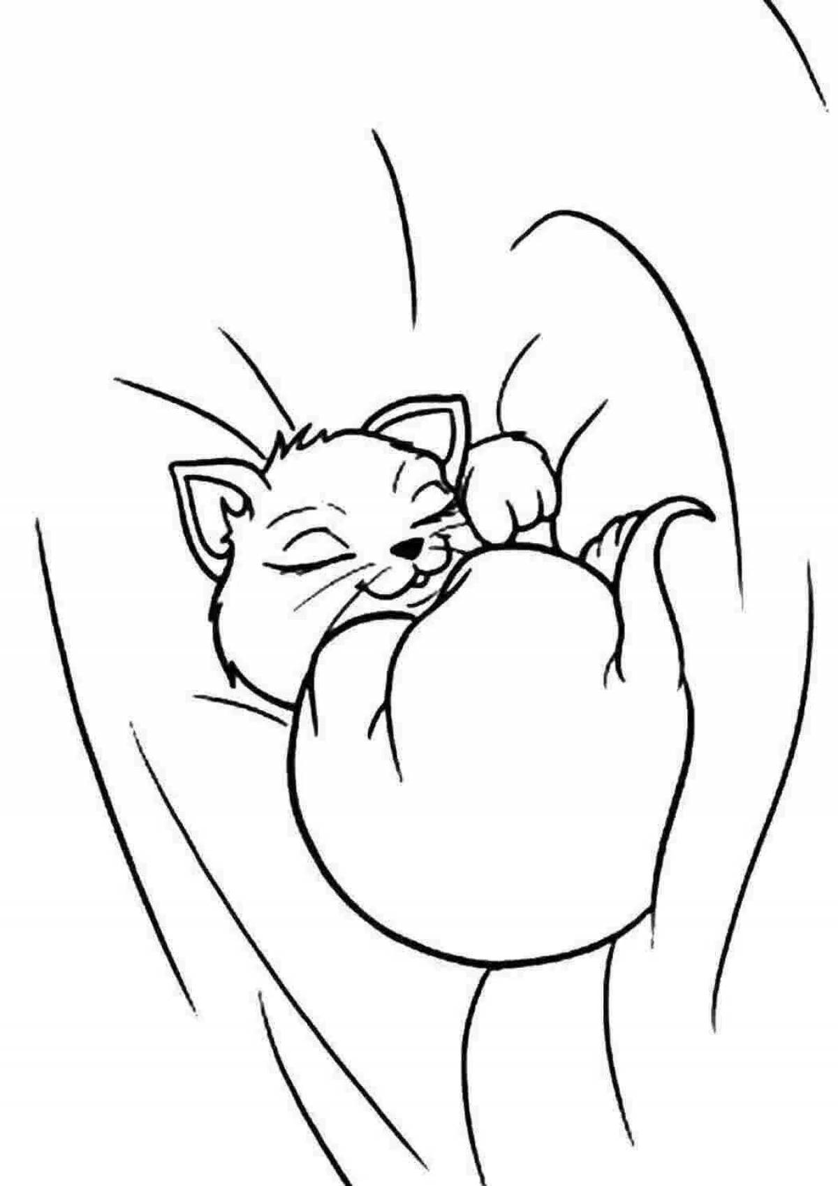Coloring cat sleeping snoring