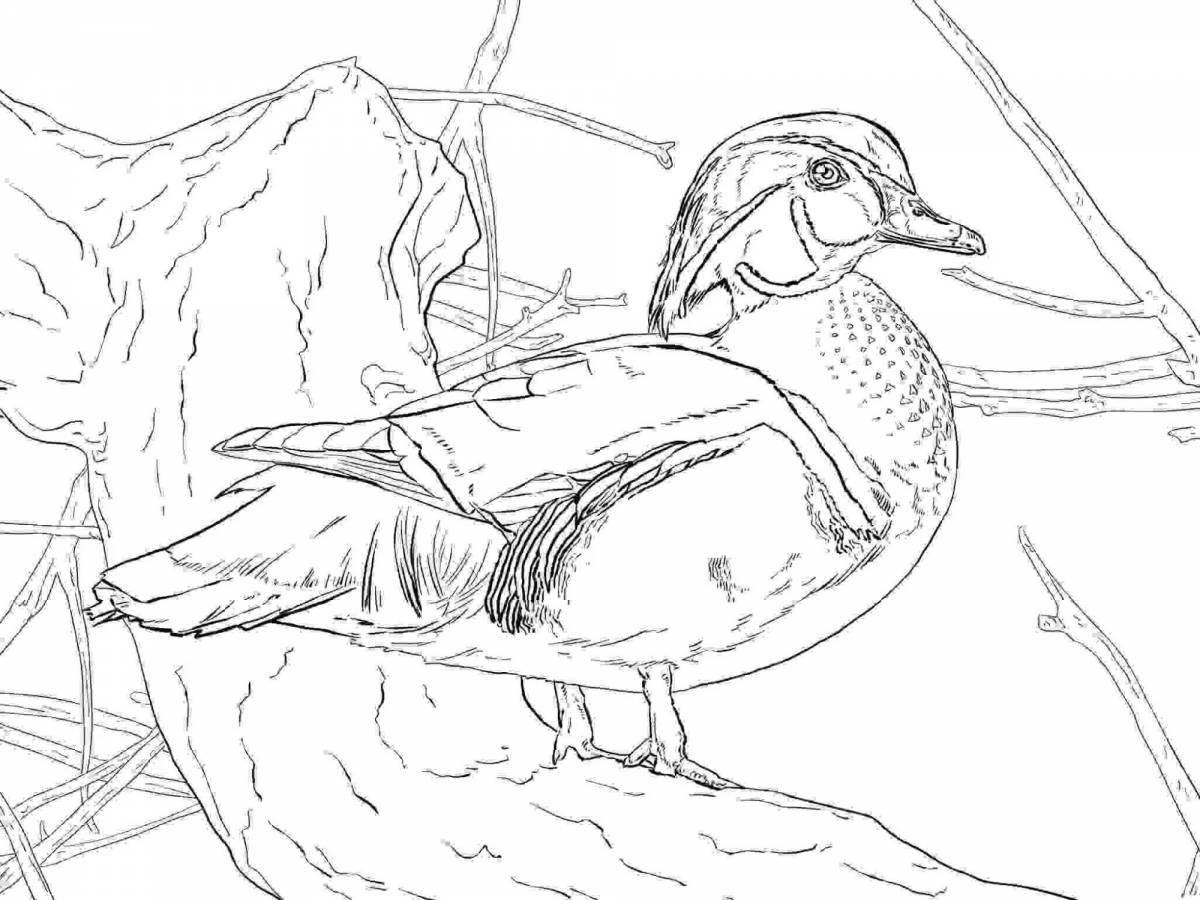 Charming waterfowl coloring book
