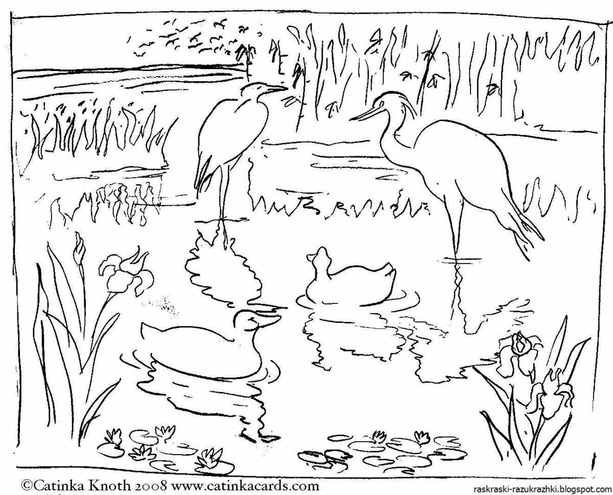 Coloring page playful waterfowl