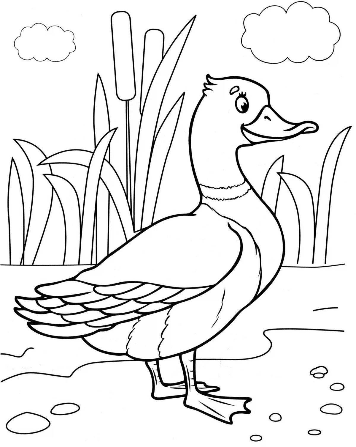 Exquisite waterfowl coloring book