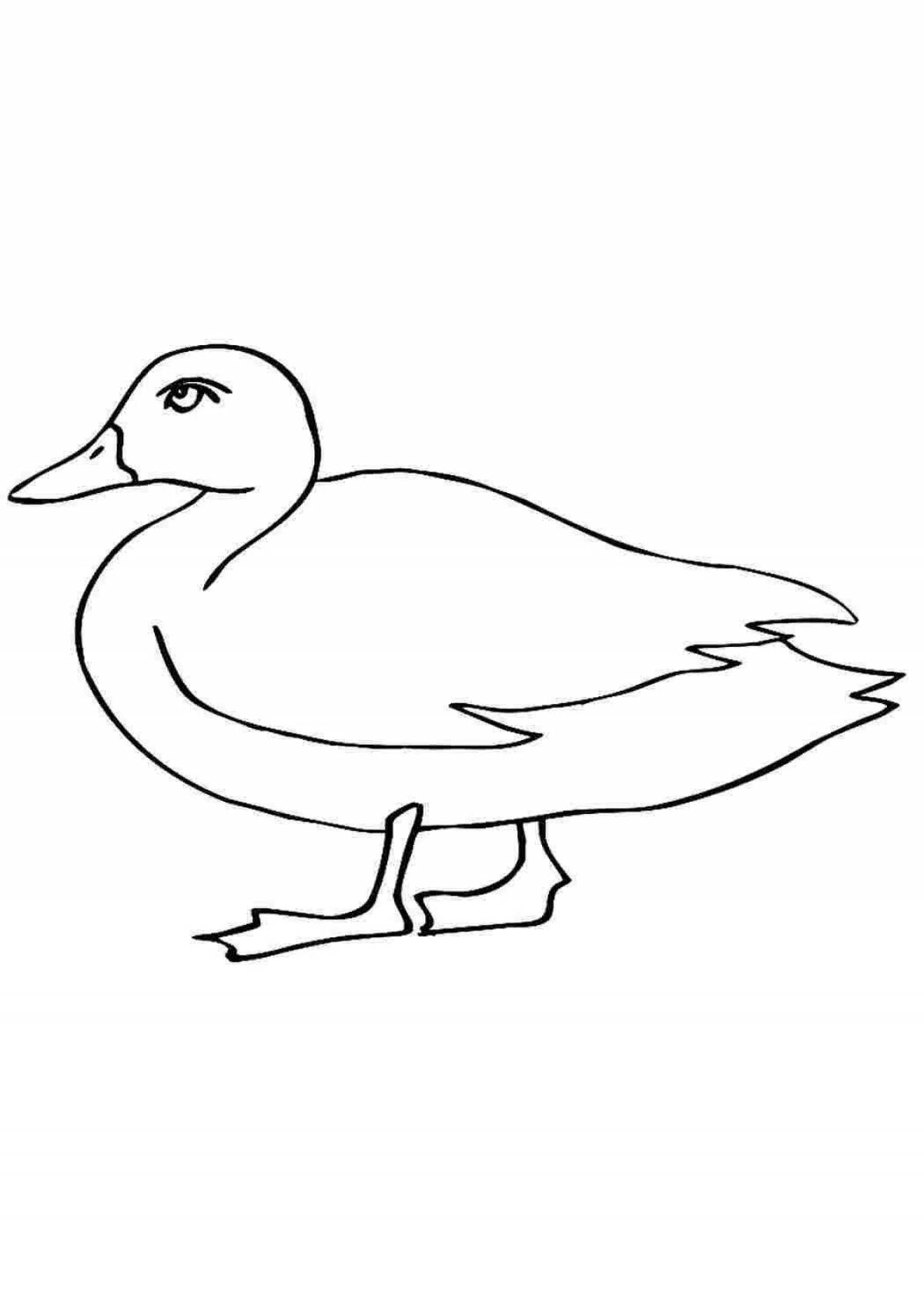 Coloring page graceful waterfowl