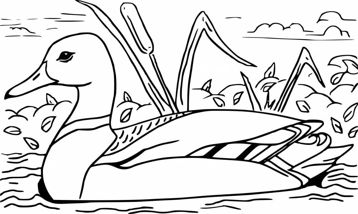 Sharp waterfowl coloring page