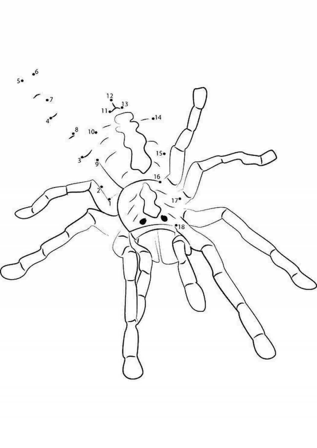 Tarantula spider coloring page