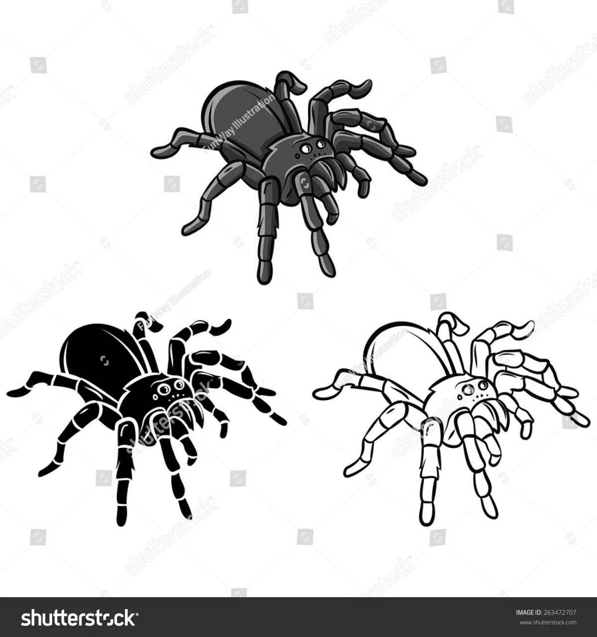 Очаровательный паук тарантул раскраска