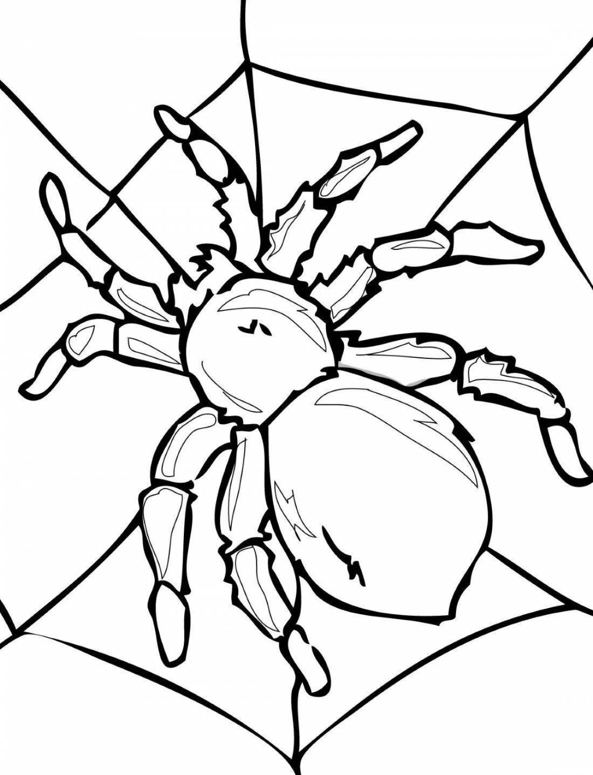 Впечатляющая страница раскраски тарантула-паука