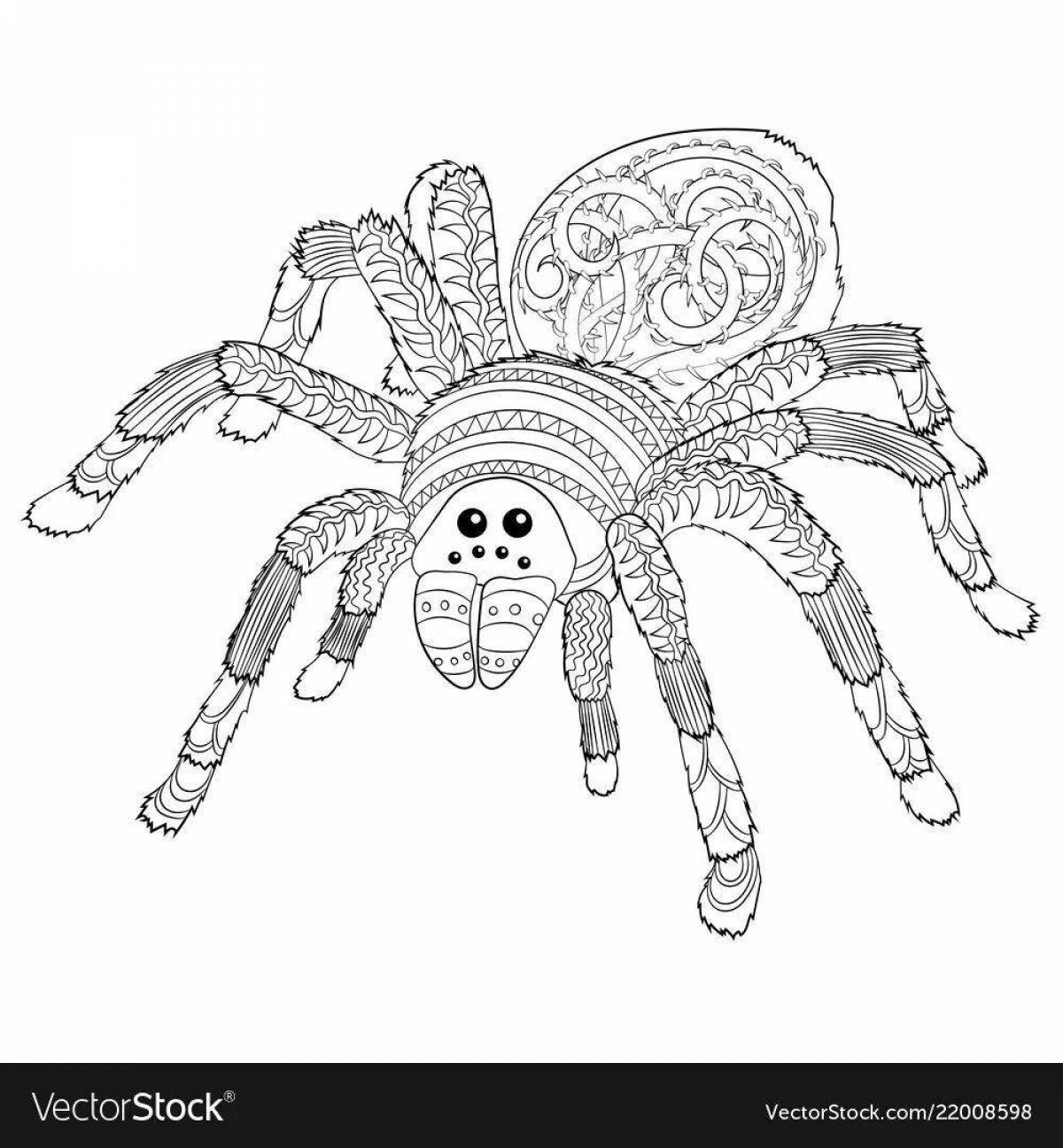 Удивительная страница раскраски тарантула-паука