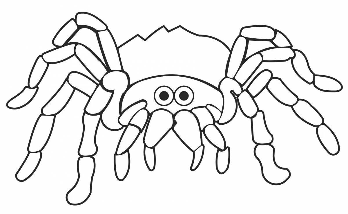 Coloring page graceful spider tarantula
