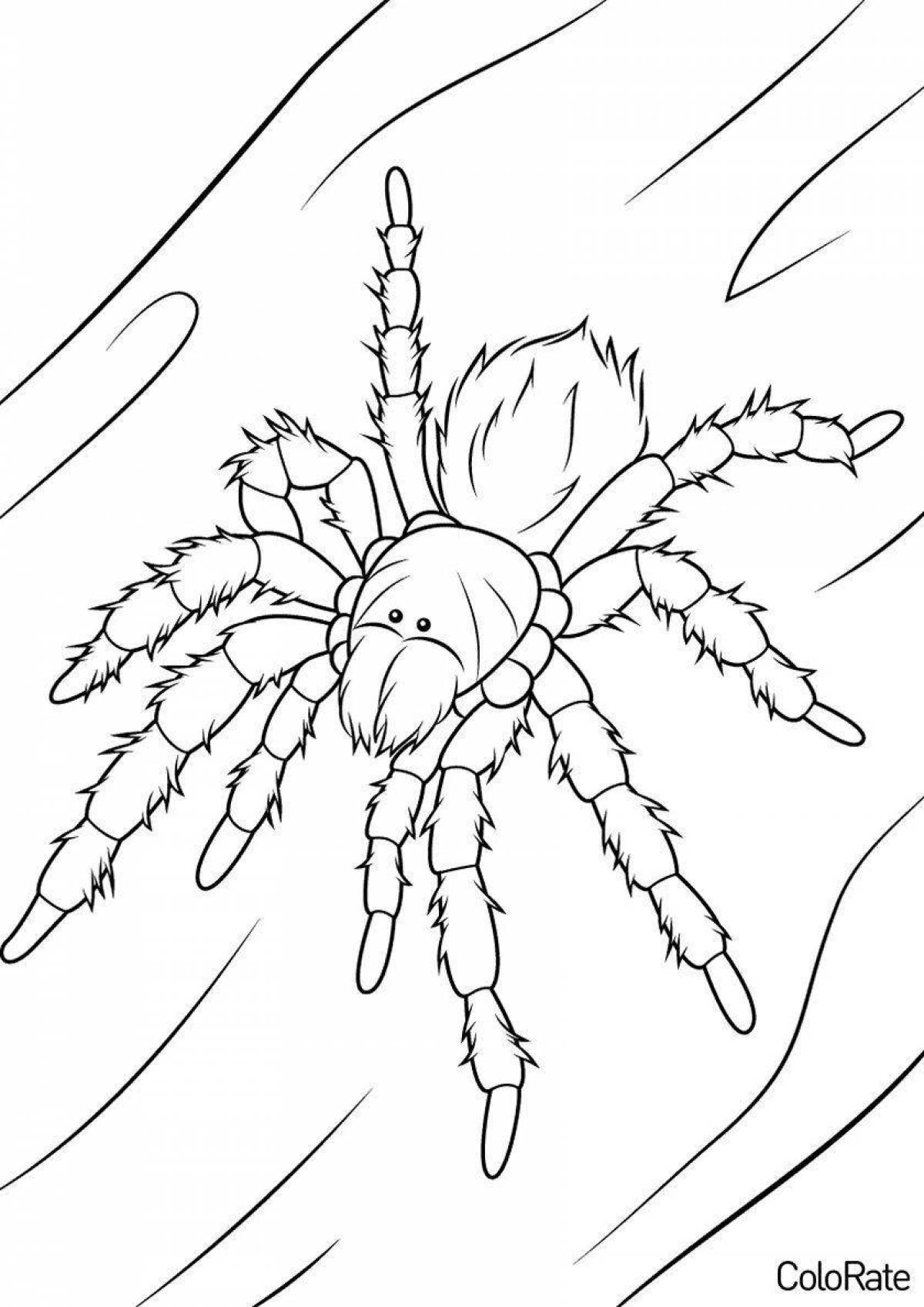 Detailed tarantula spider coloring page