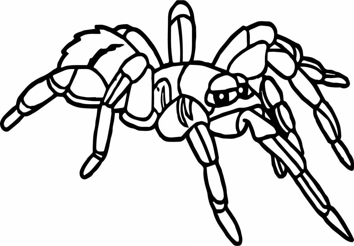 Замысловатая страница раскраски тарантула-паука