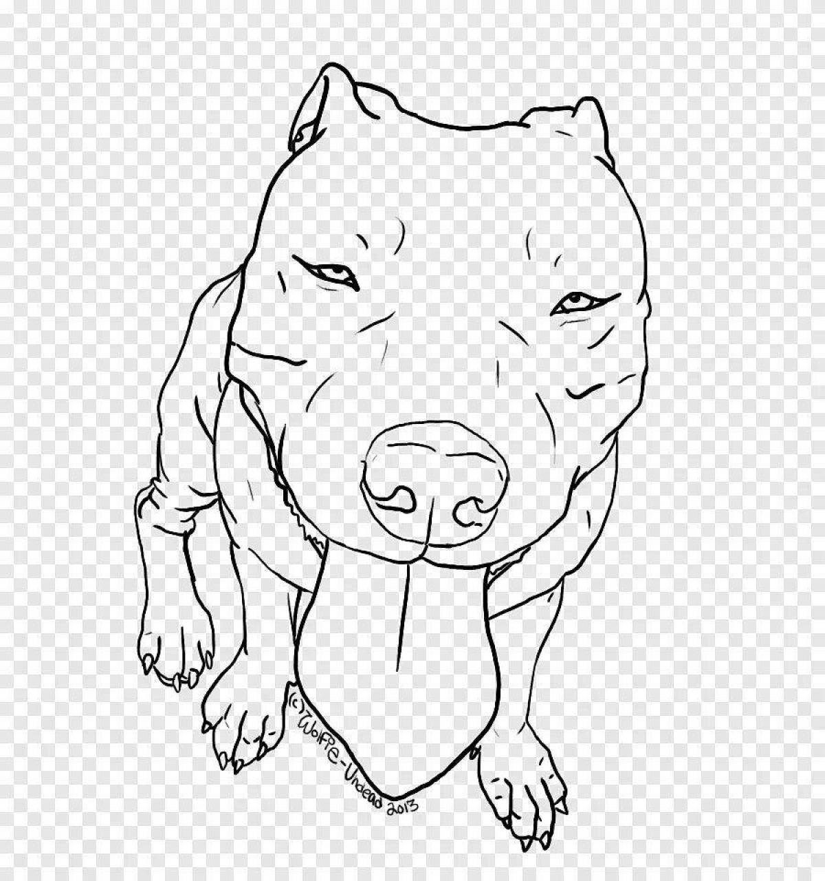 Radiant american bully coloring page