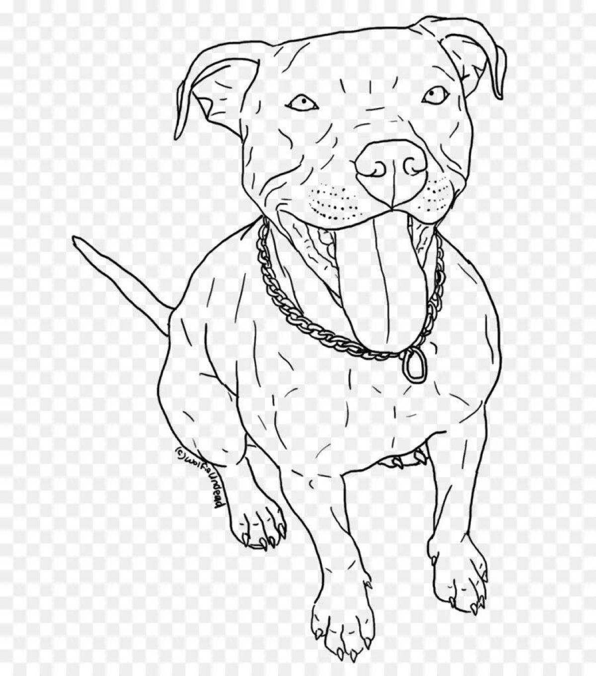 Great american bully coloring book