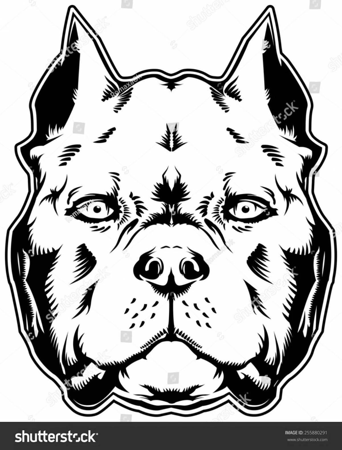 Coloring page dazzling american bully