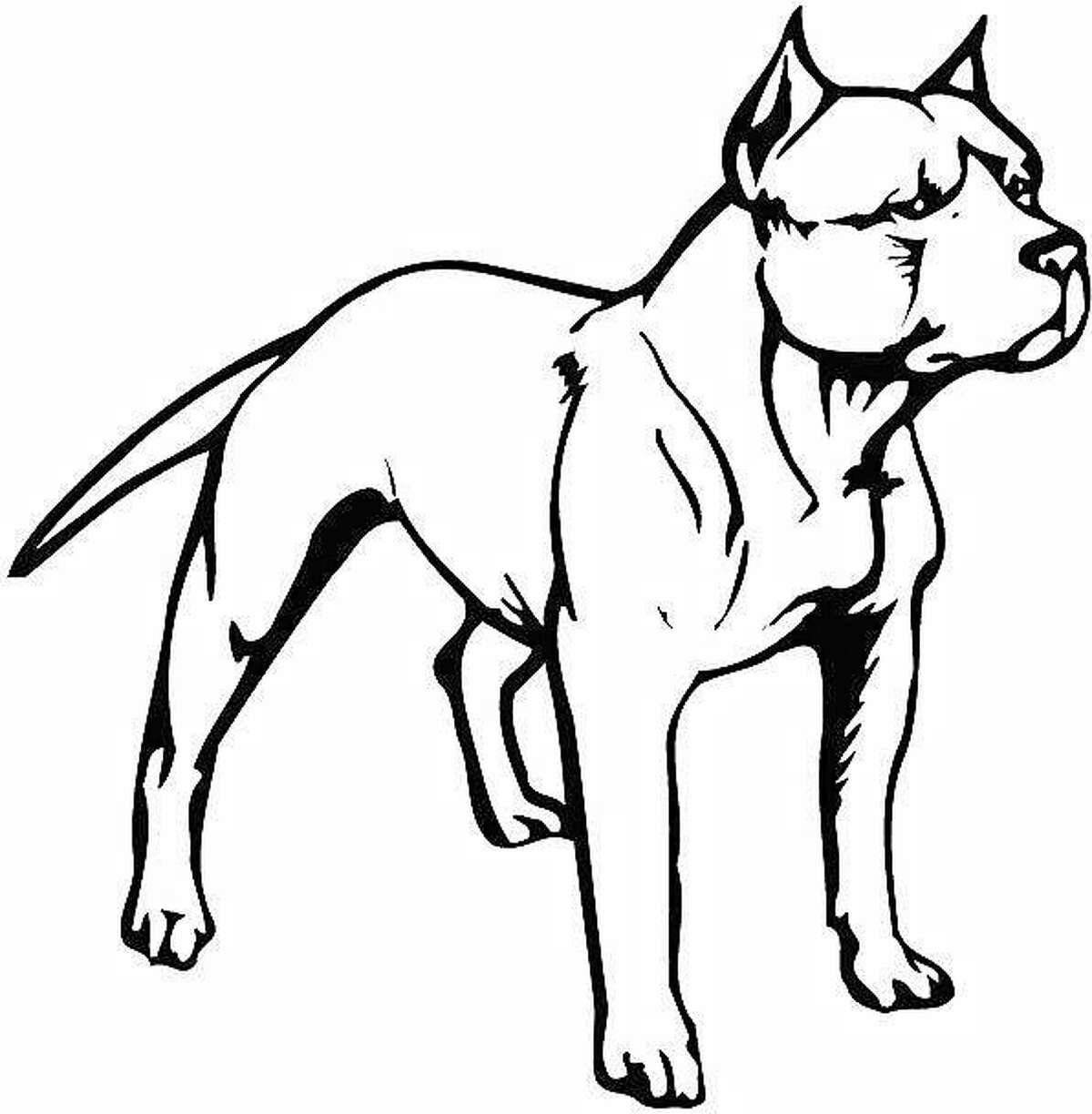 Glowing american bully coloring page