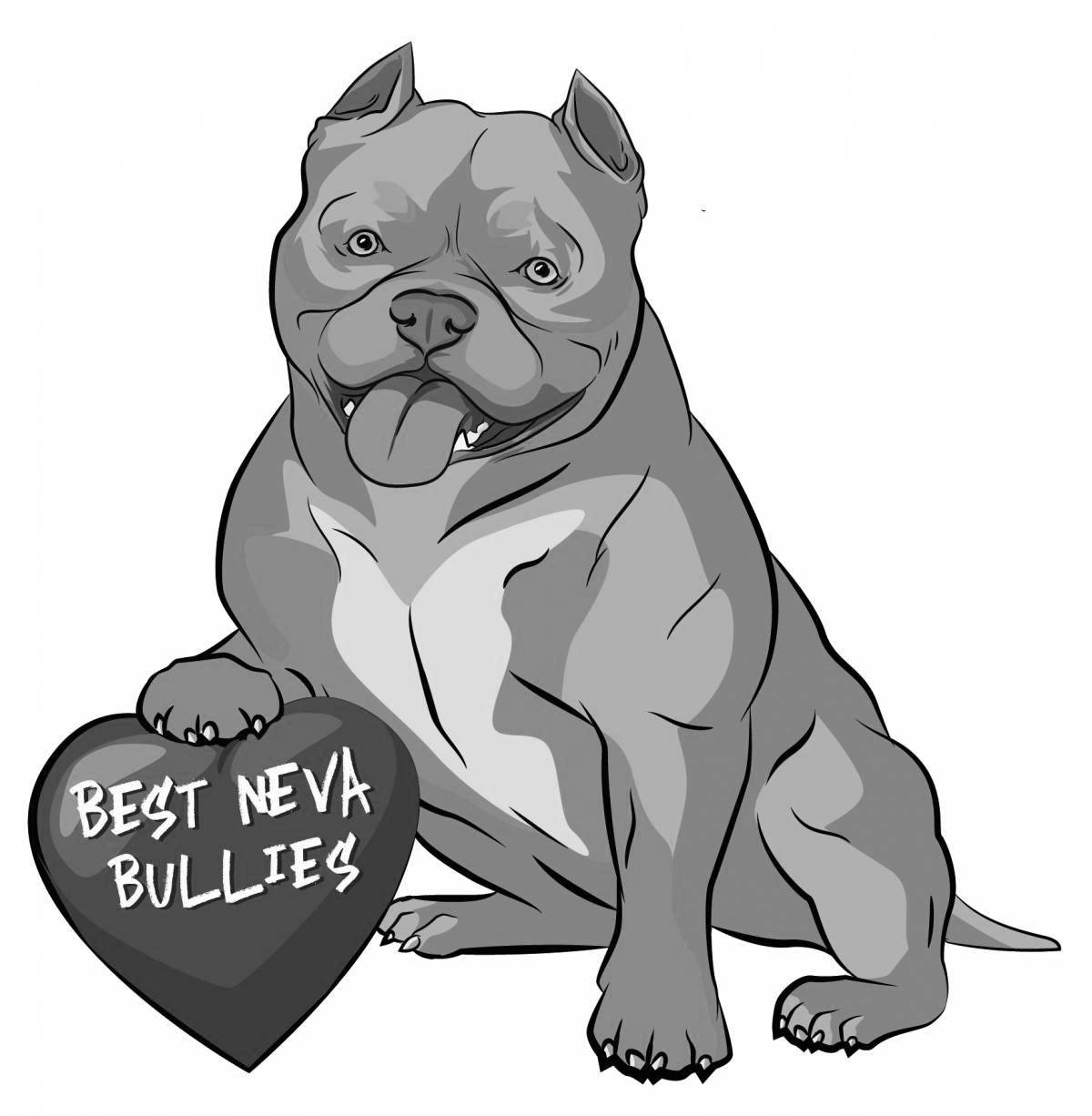 Impressive American bully coloring book