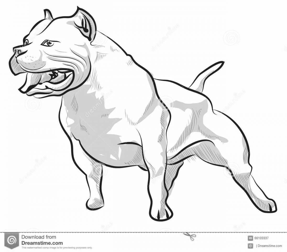 Impressive american bully coloring page