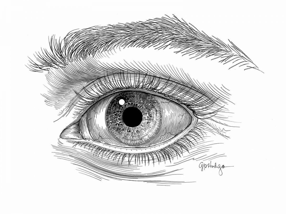 Colorful eye structure coloring page