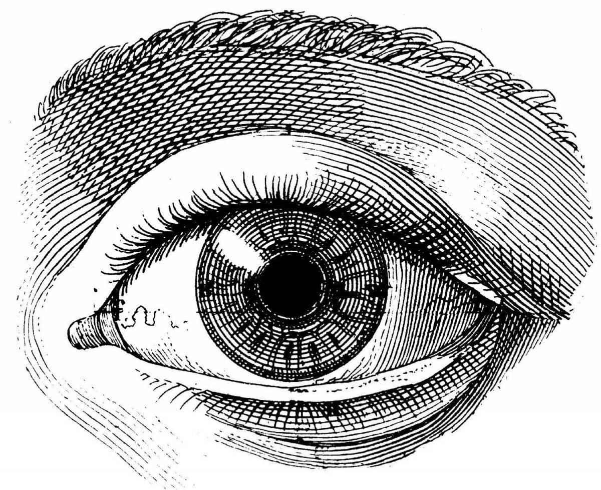 Charming eye structure coloring page