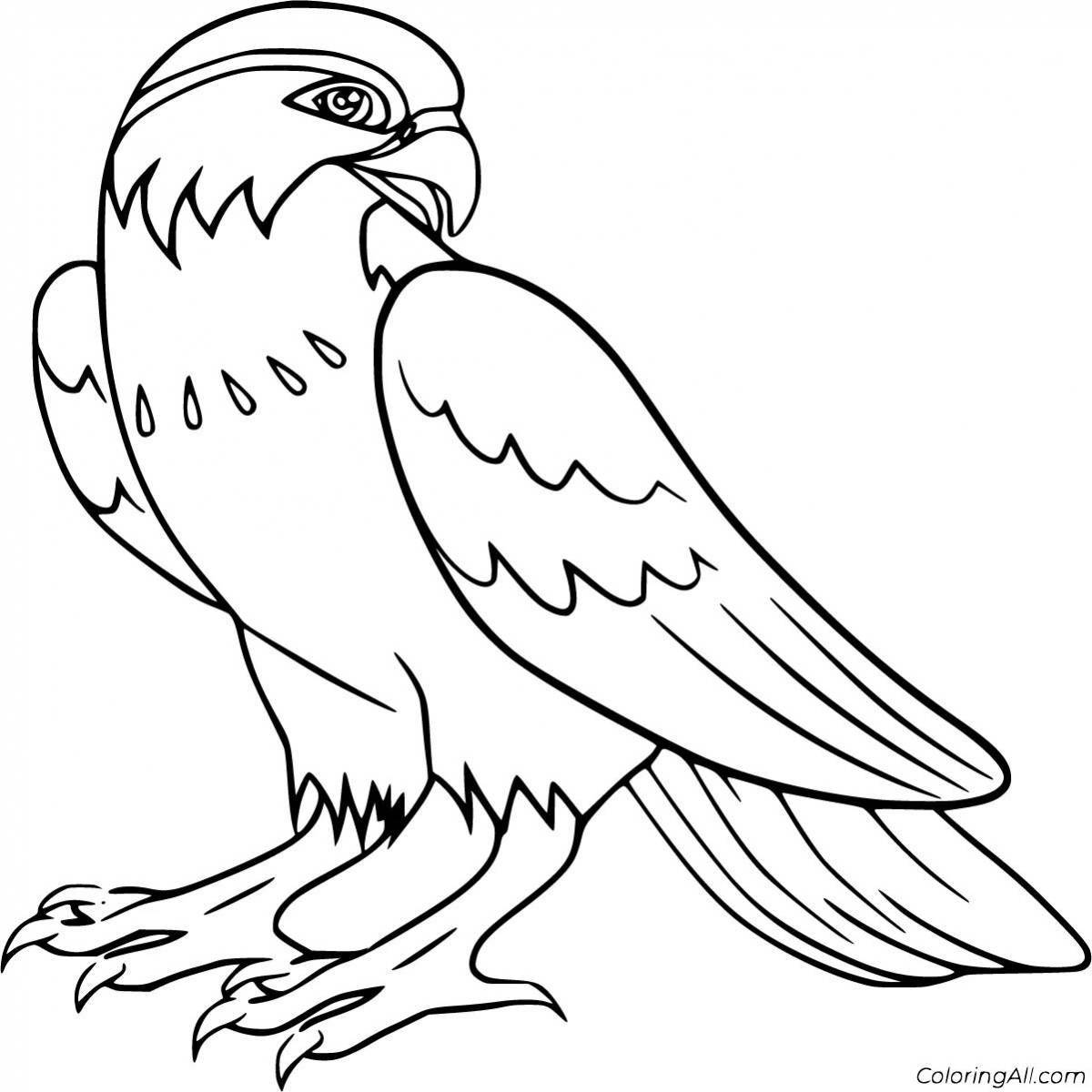Coloring book bright peregrine falcon