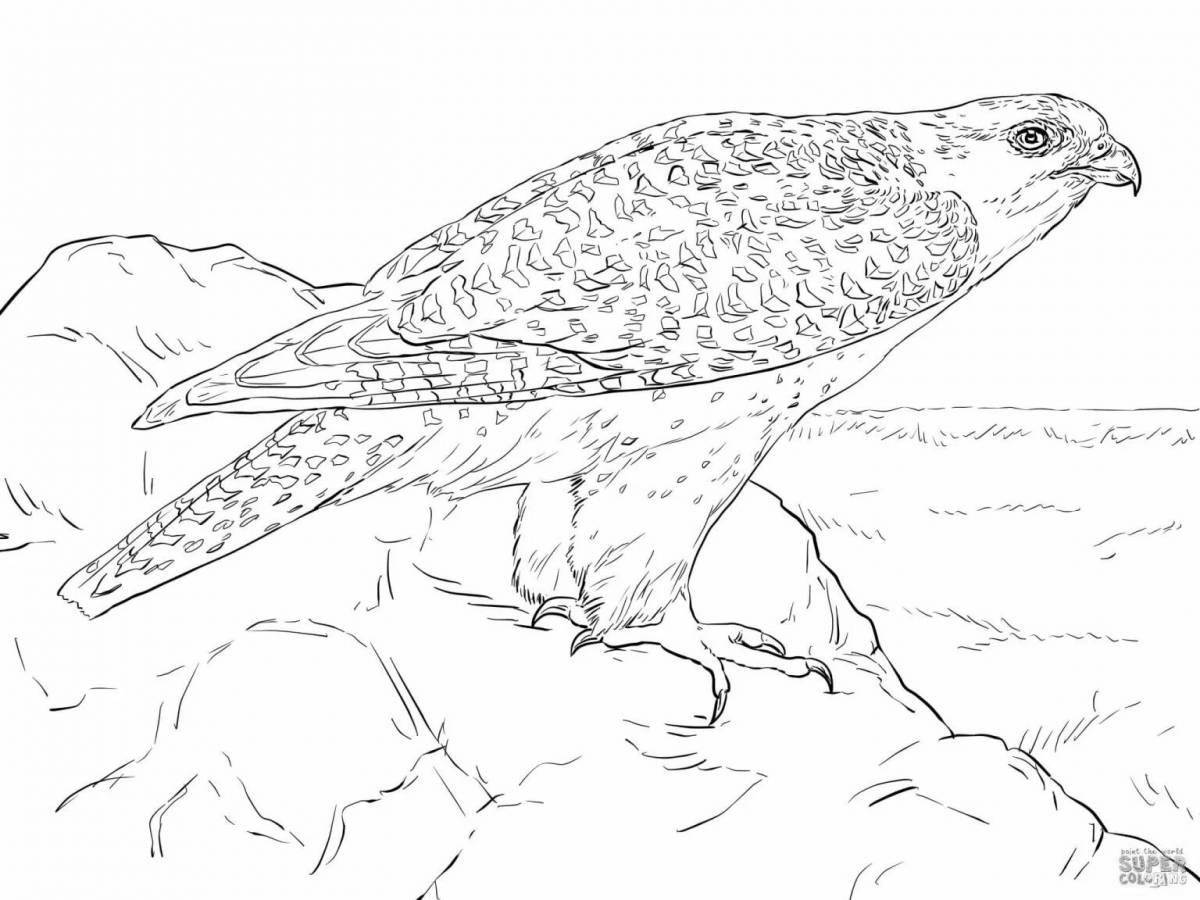 Coloring page graceful peregrine falcon