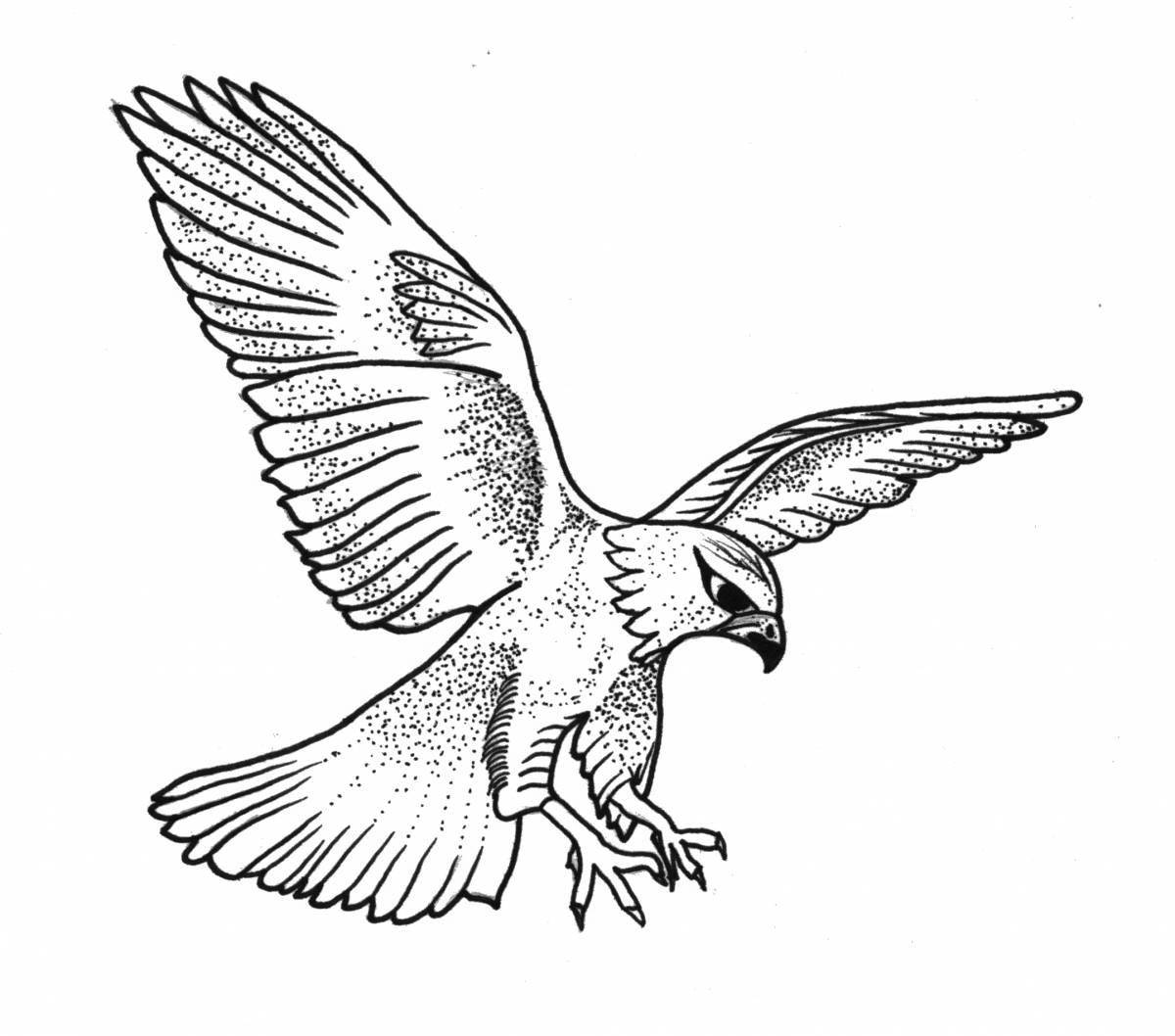 Coloring page shiny peregrine falcon