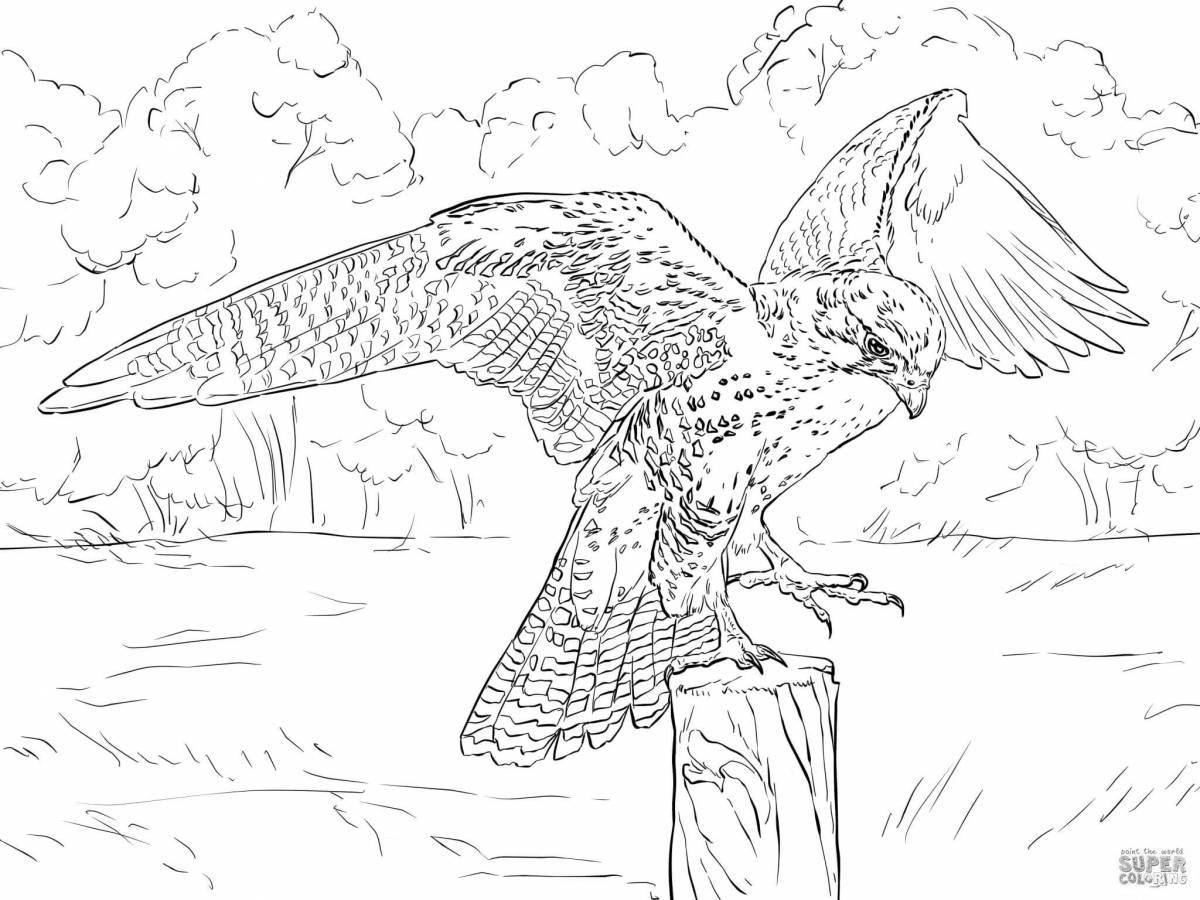 Exquisite peregrine bird coloring page