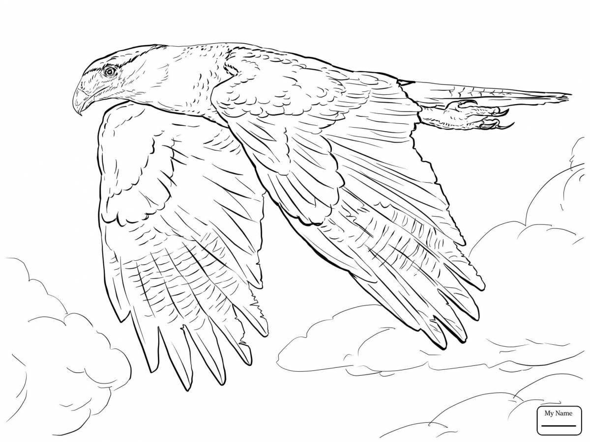 Coloring page spectacular peregrine falcon
