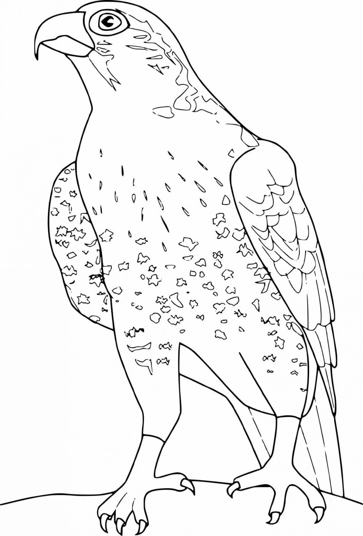 Intriguing peregrine bird coloring page