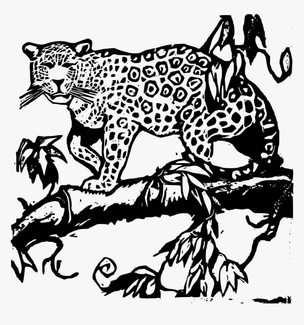 Coloring of the royal jaguar