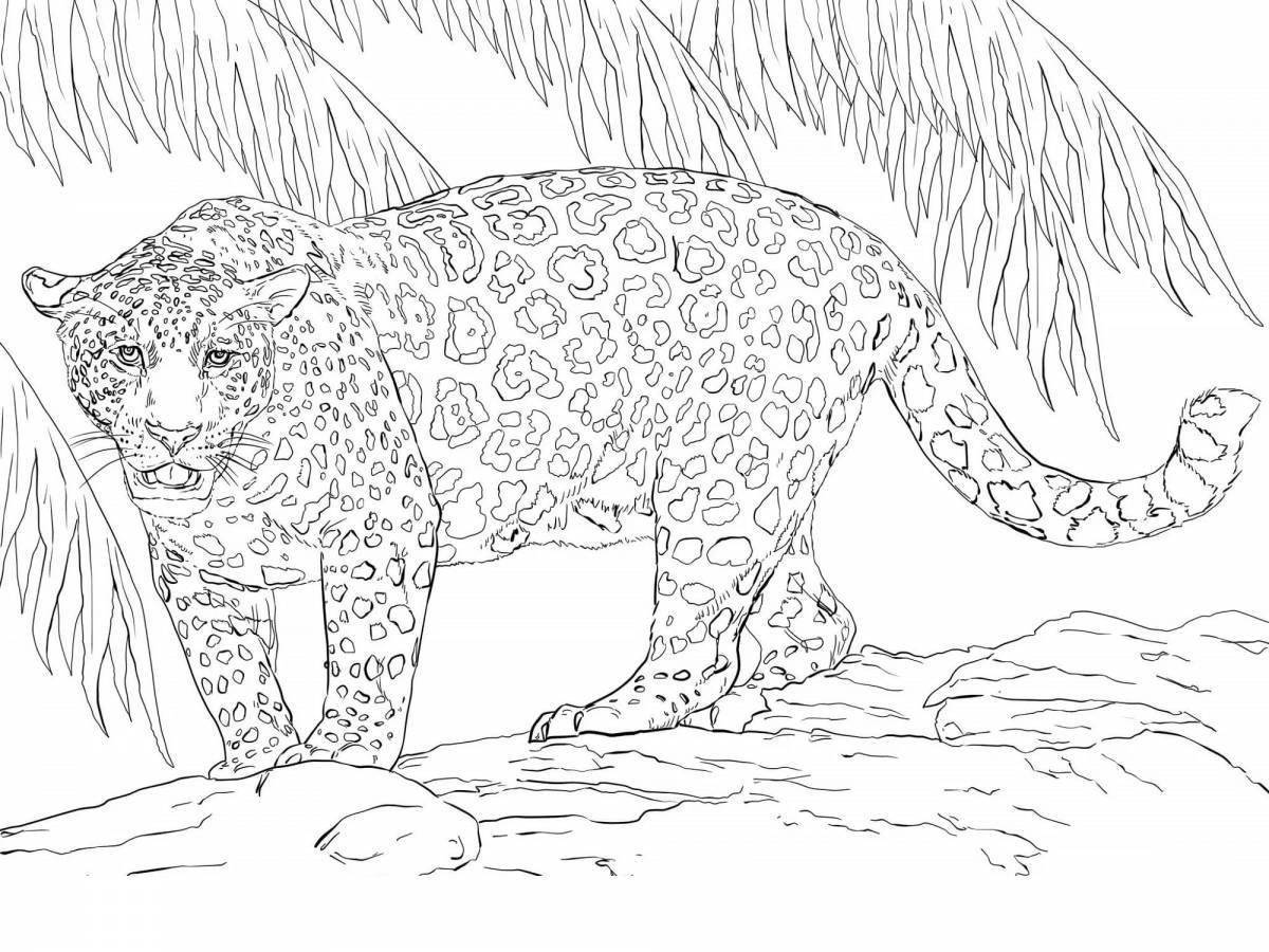Coloring book shining jaguar