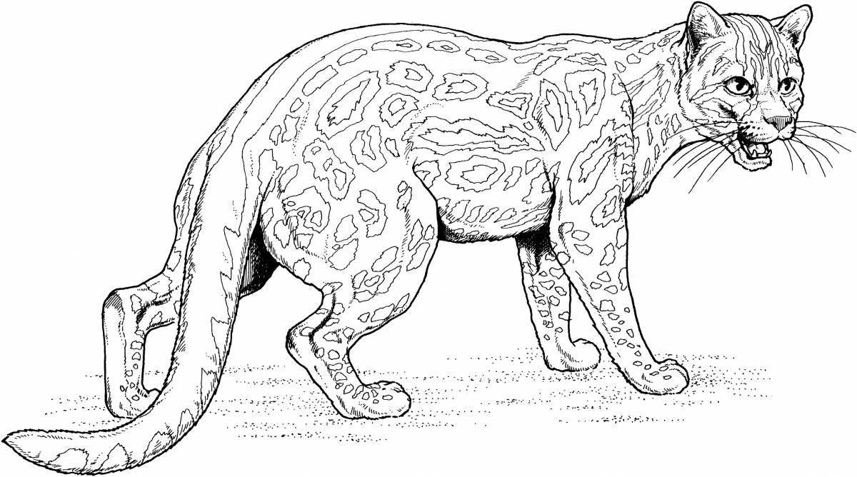 Coloring big jaguar animal