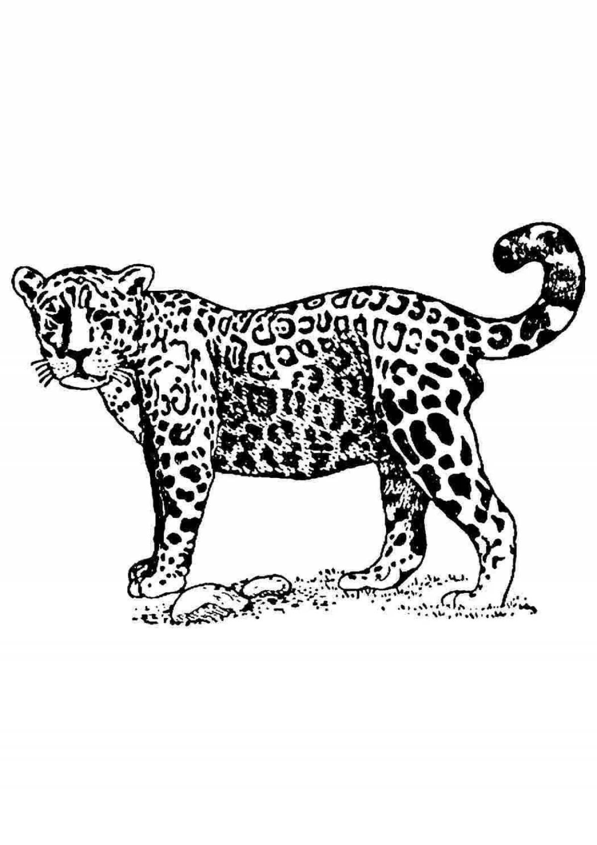 Живая раскраска ягуара