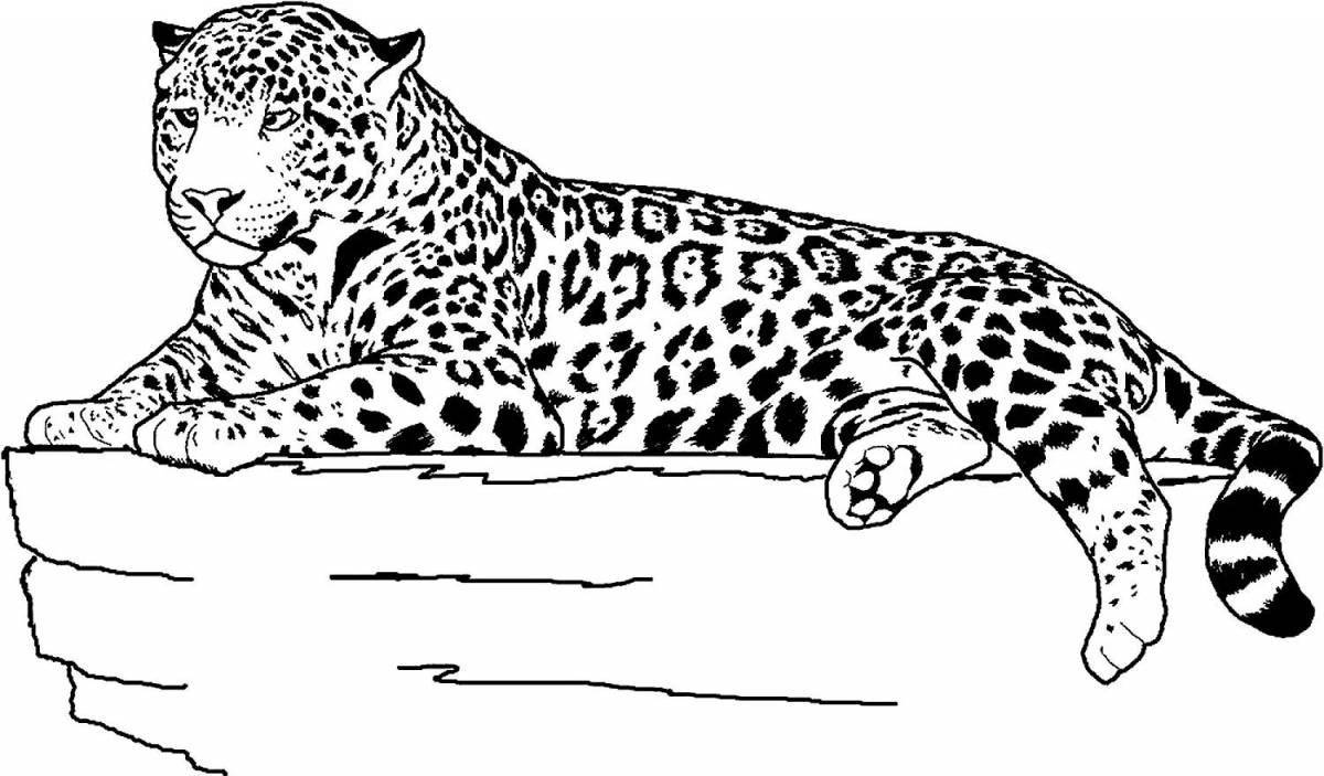 Exquisite jaguar animal coloring book