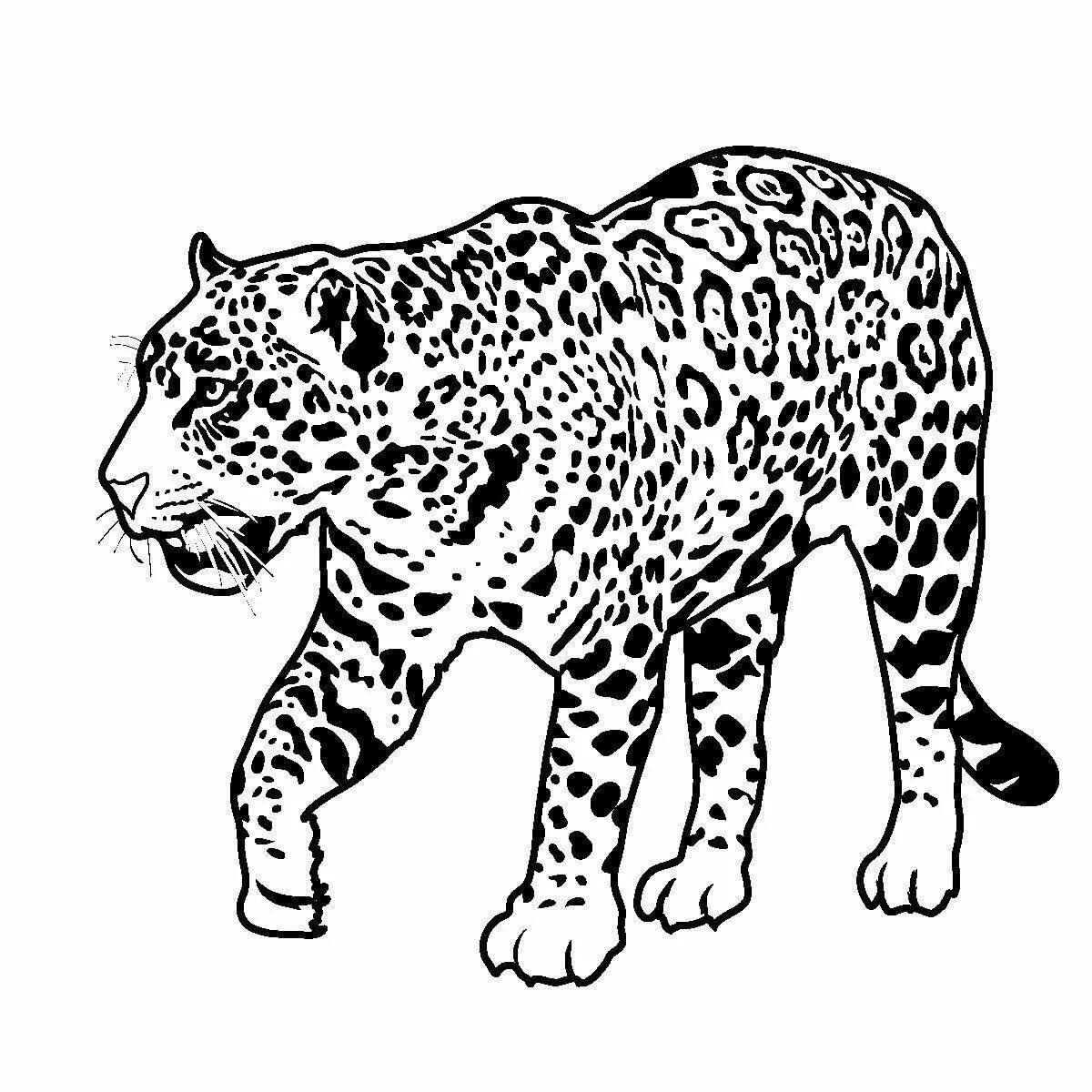 Coloring book nice jaguar animal
