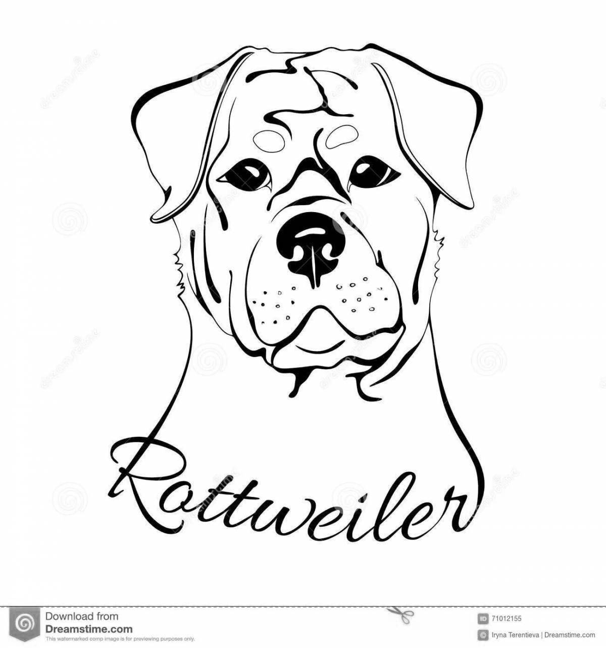 Раскраска игривый ротвейлер