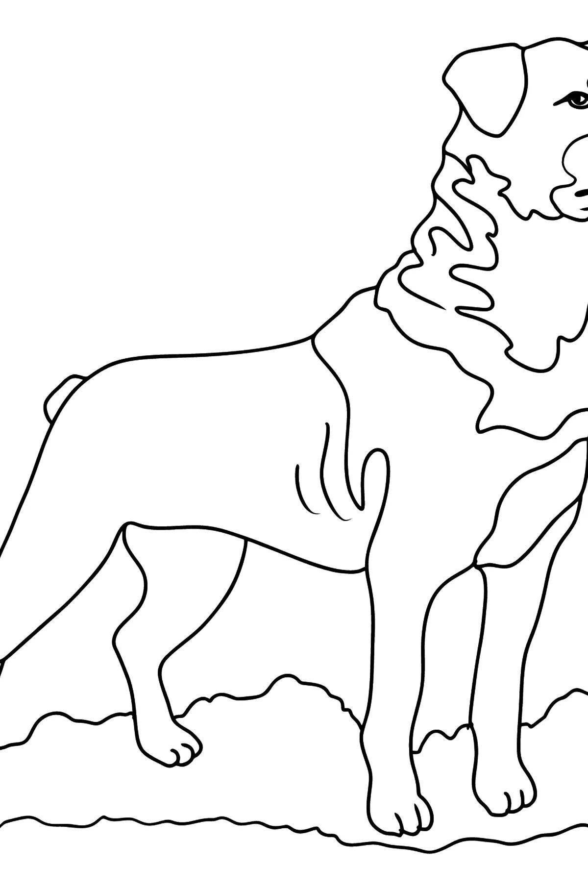 Coloring page graceful rottweiler