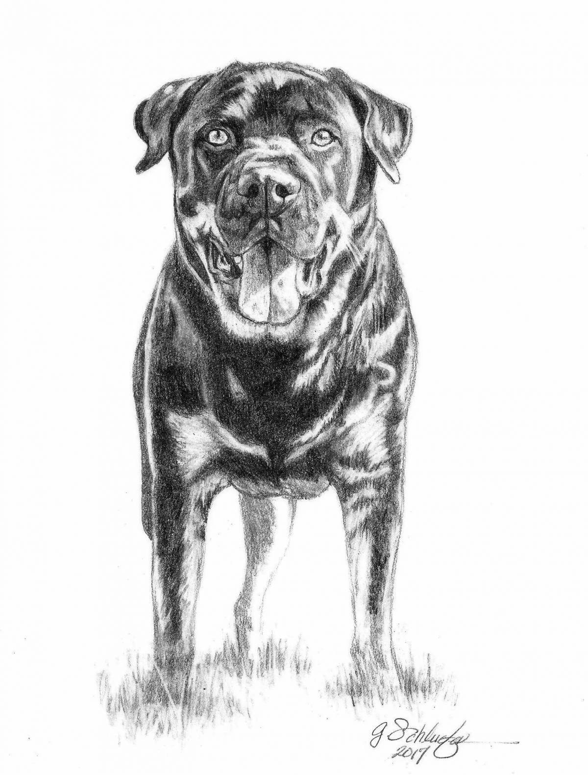 Royal rottweiler coloring page
