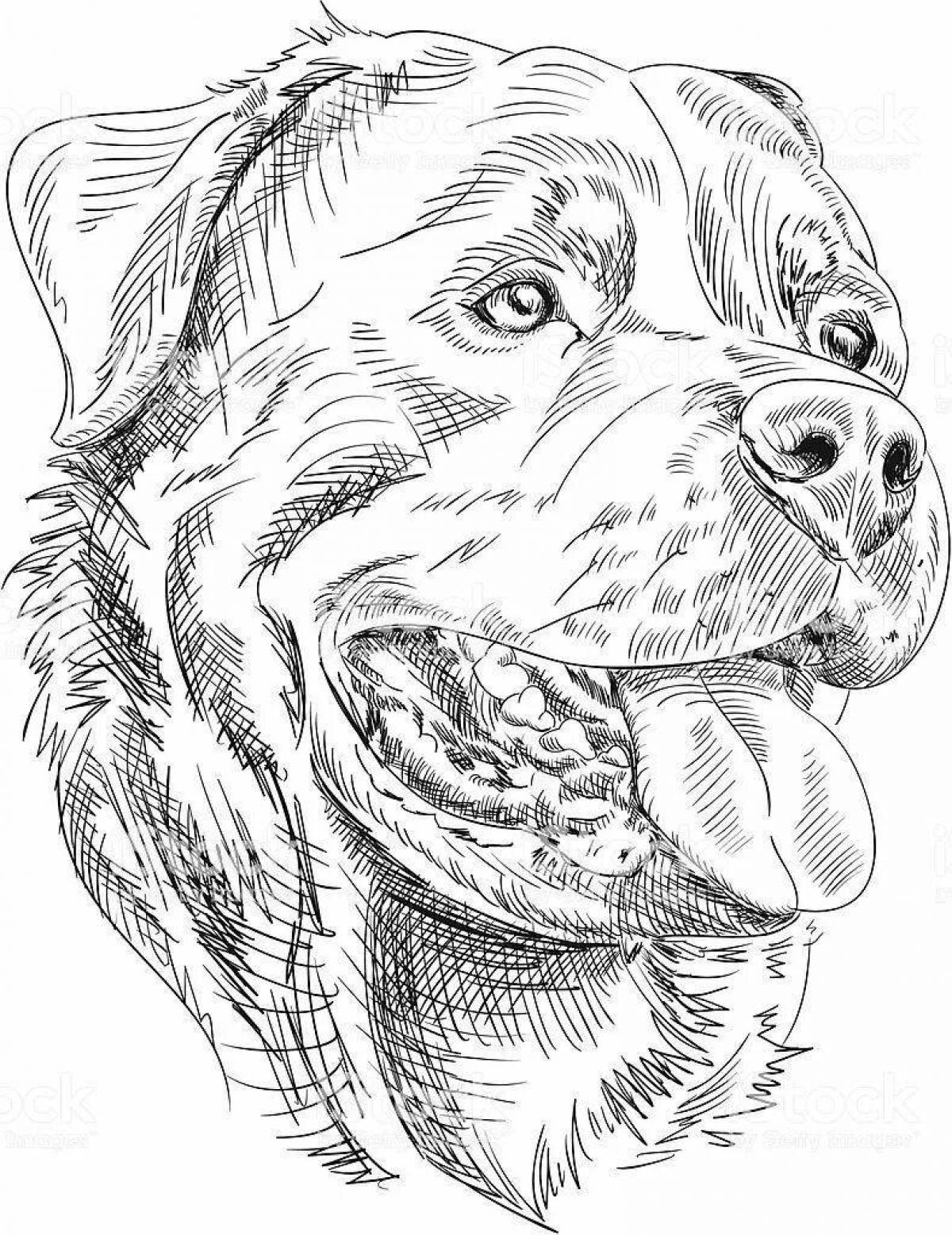 Coloring page loving rottweiler