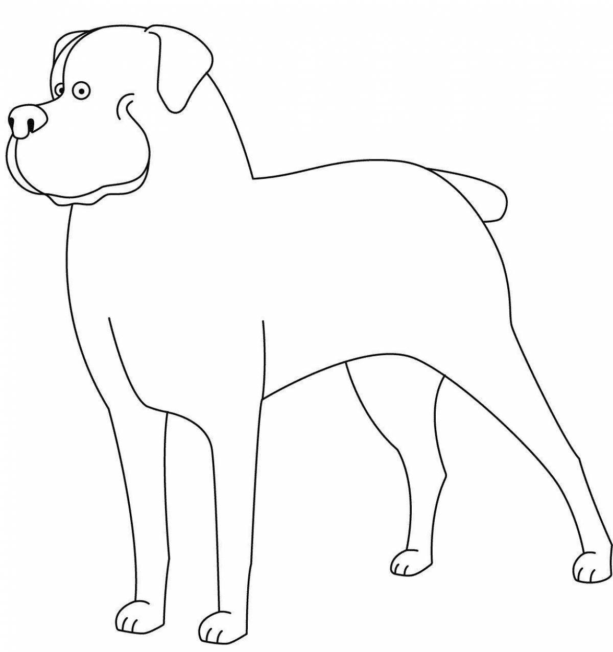 Coloring page inquisitive rottweiler