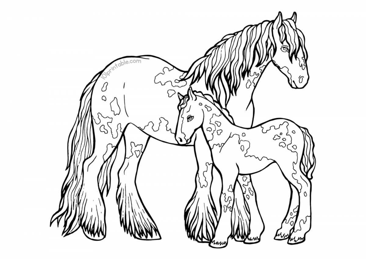 Величественная раскраска семья лошадей