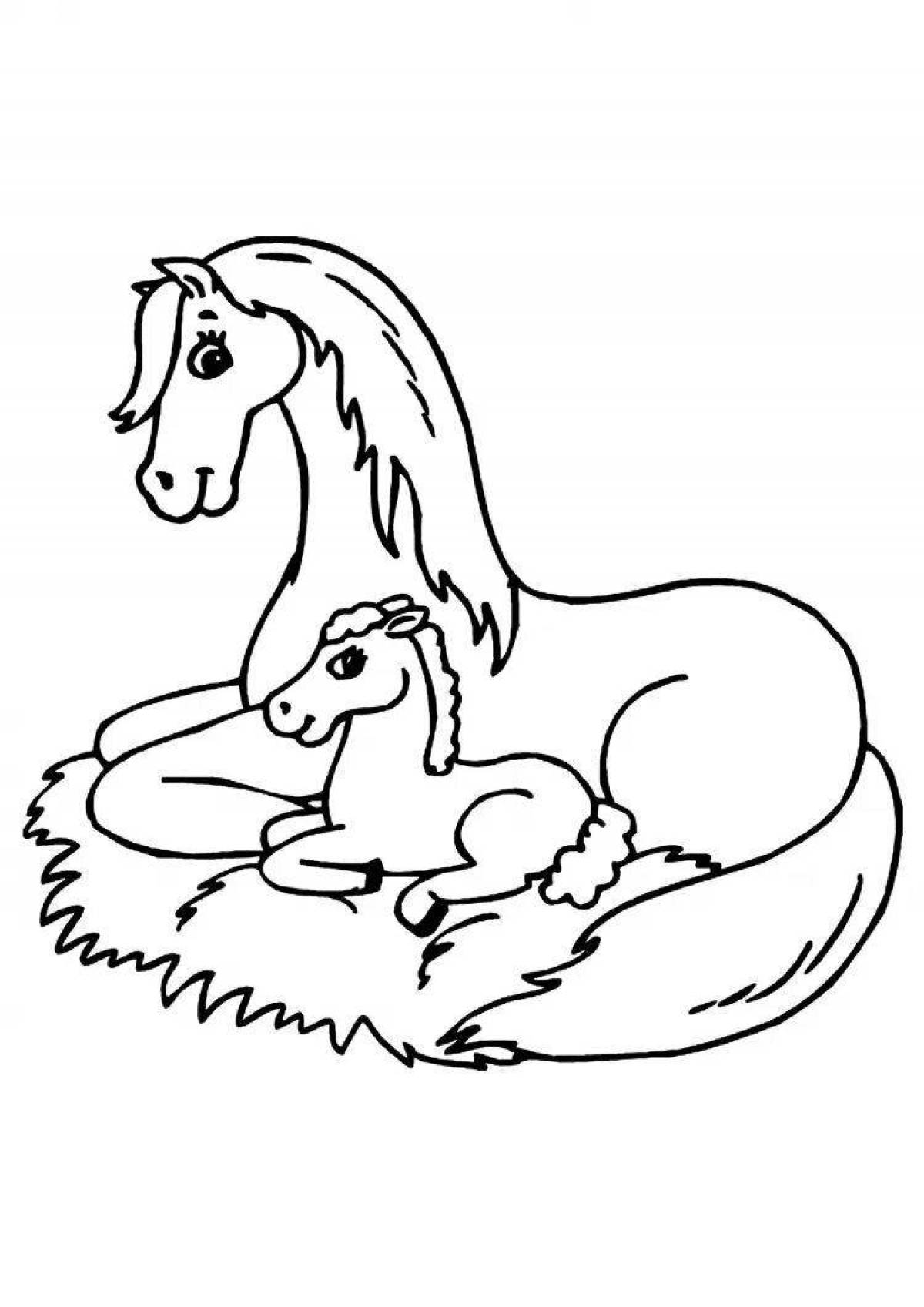 Great horse family coloring book
