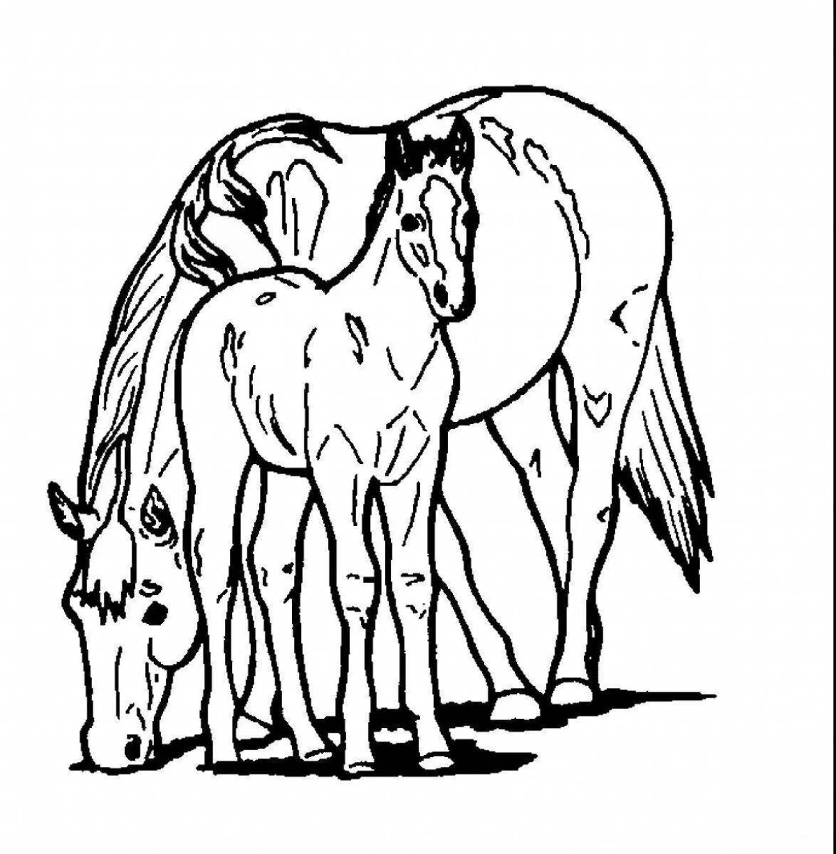 Adorable horse family coloring book