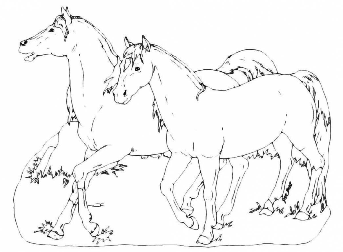 Веселая раскраска лошадиная семья