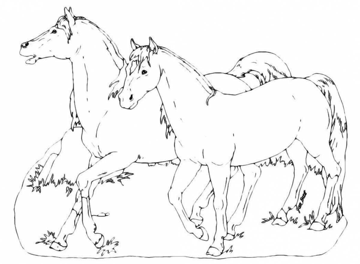 Fun horse family coloring book