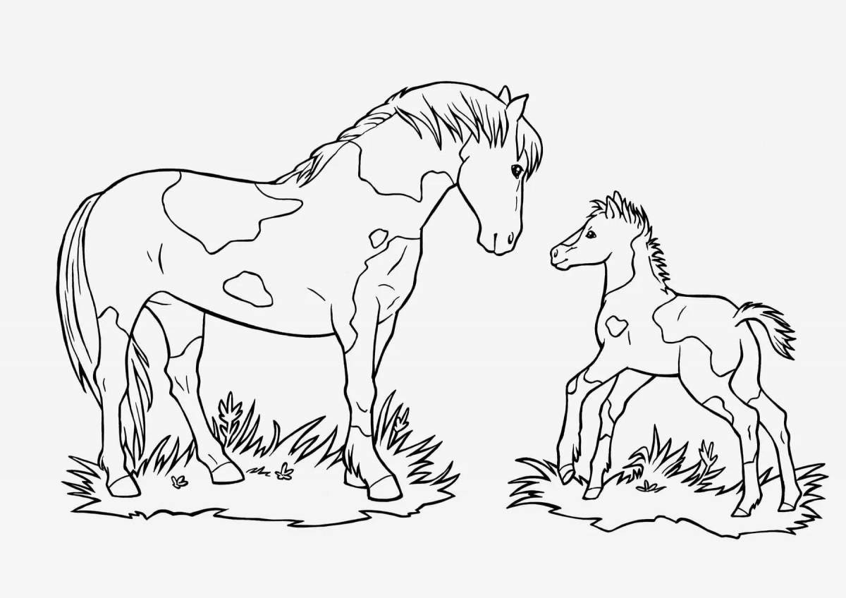 Светящаяся раскраска семья лошадей