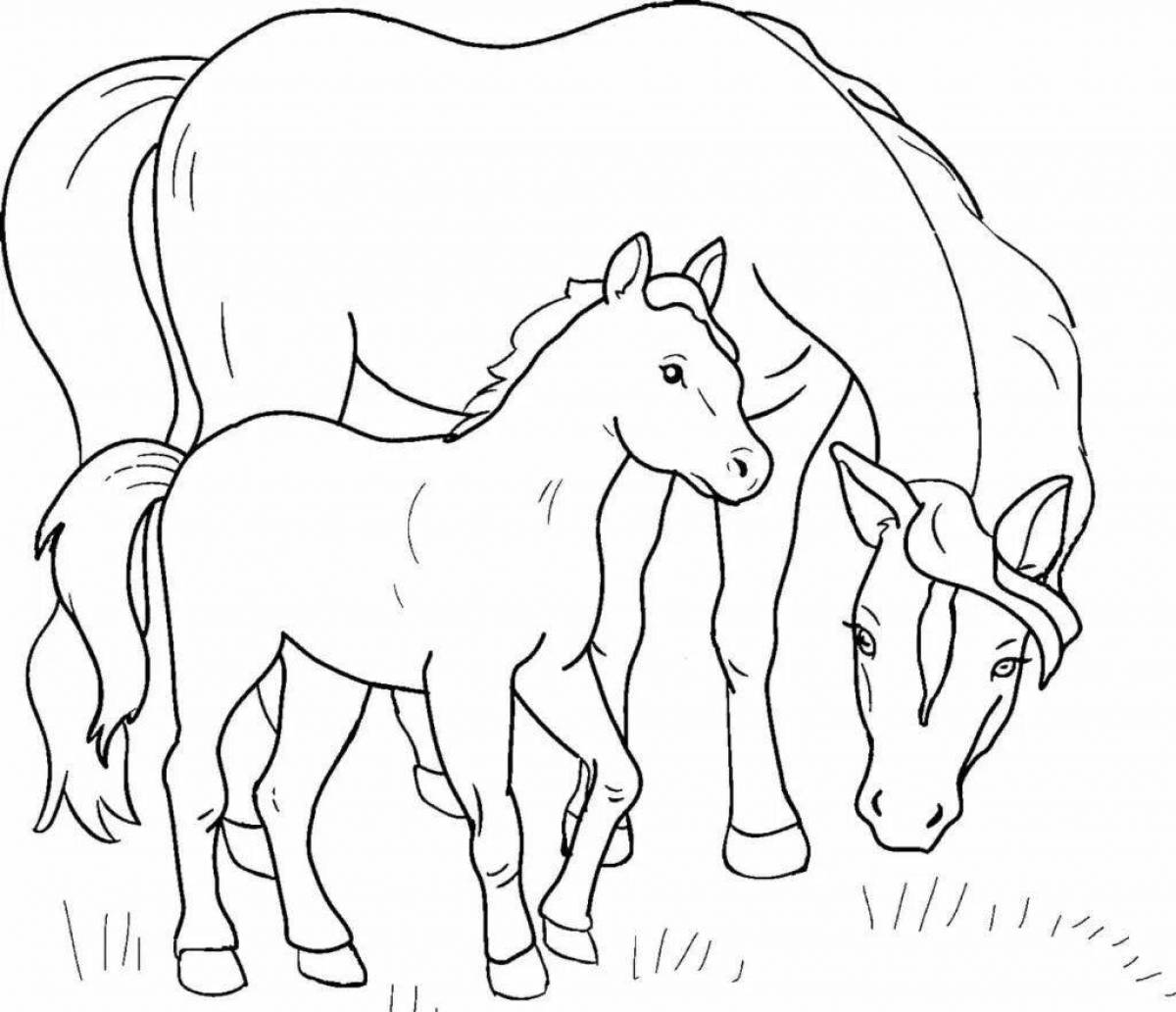 Сияющая раскраска семья лошадей