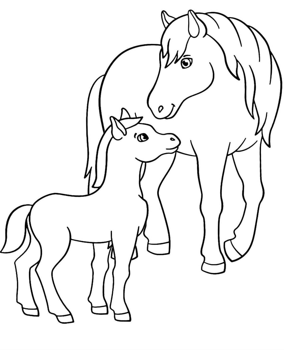 Exciting horse family coloring book