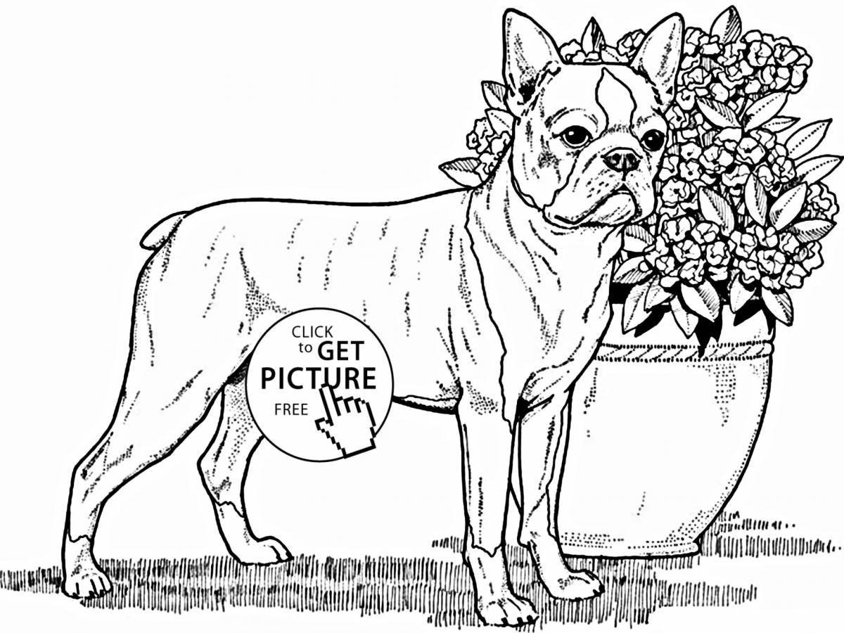 Colorful real dog coloring page