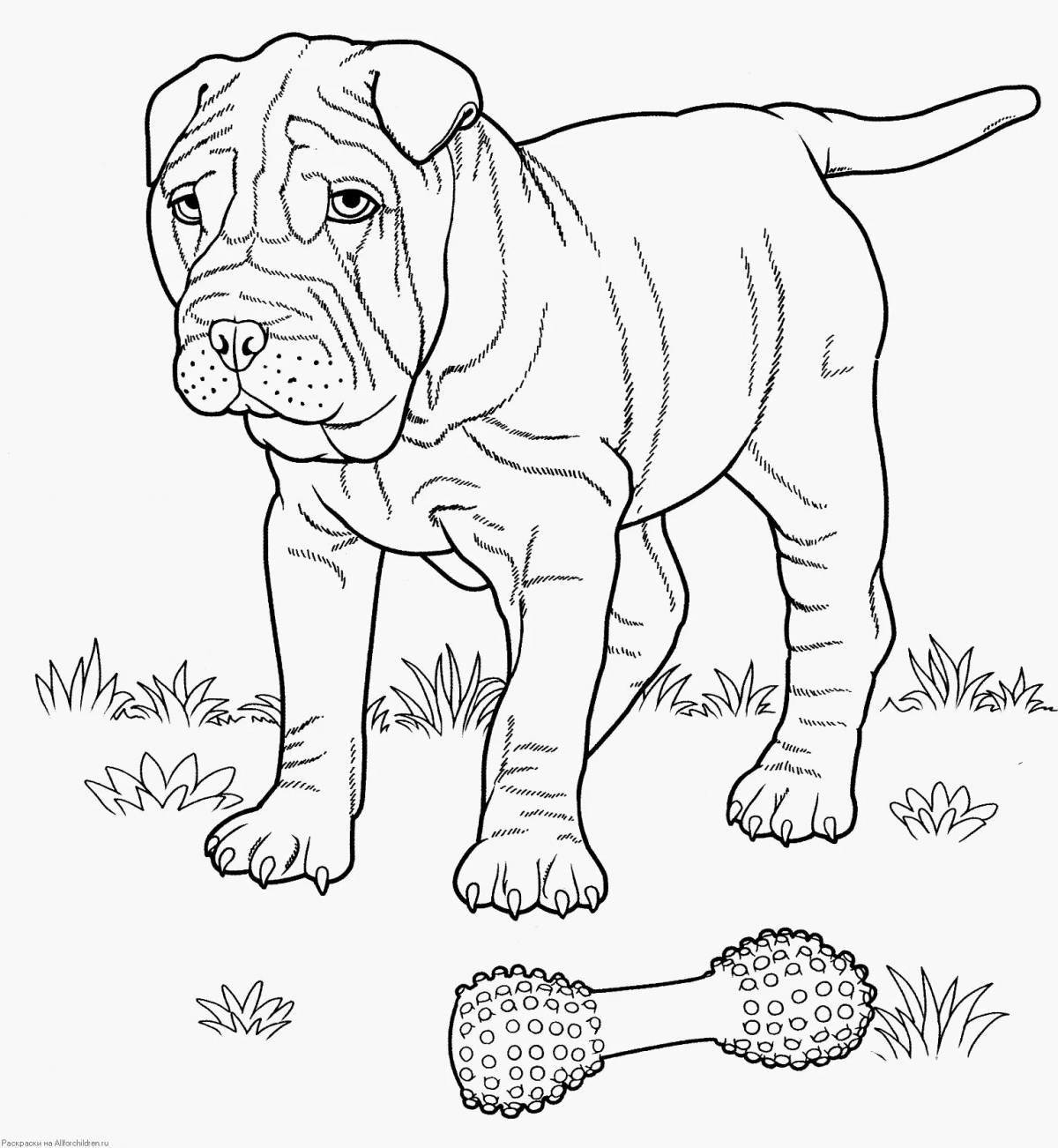 Bright real dog coloring book