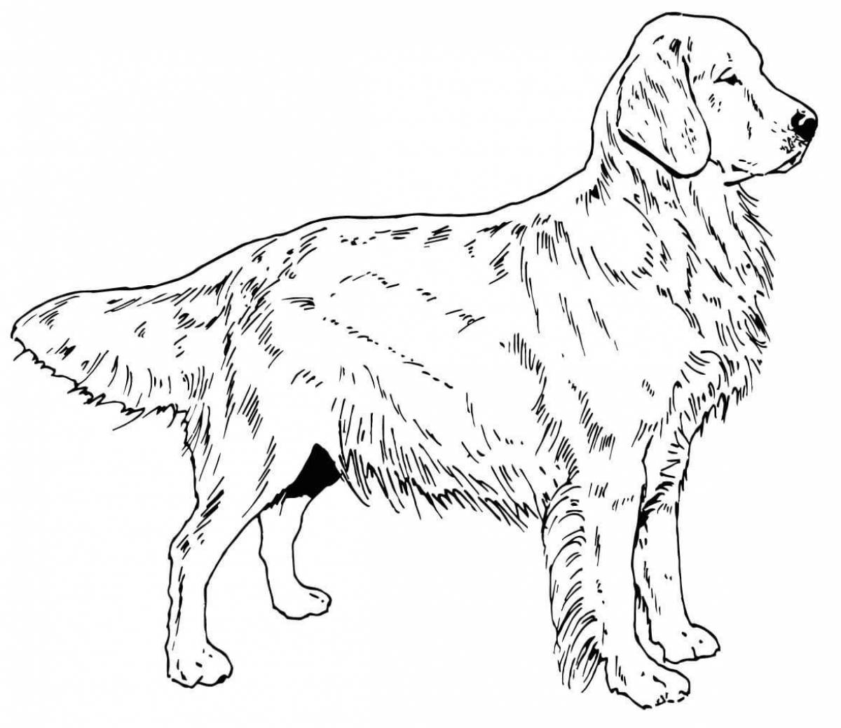 Adorable real dog coloring book