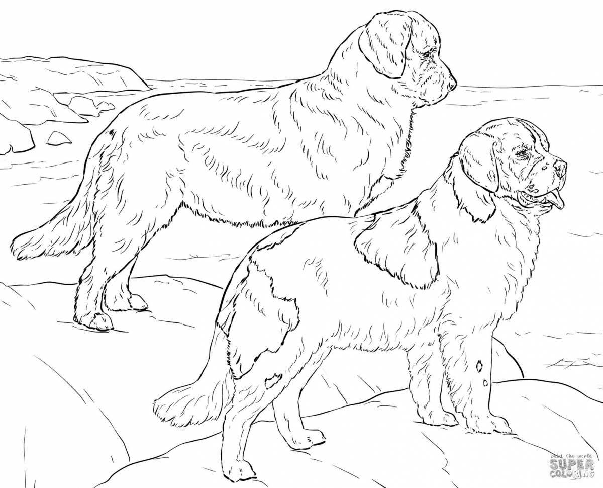 Cute real dog coloring book